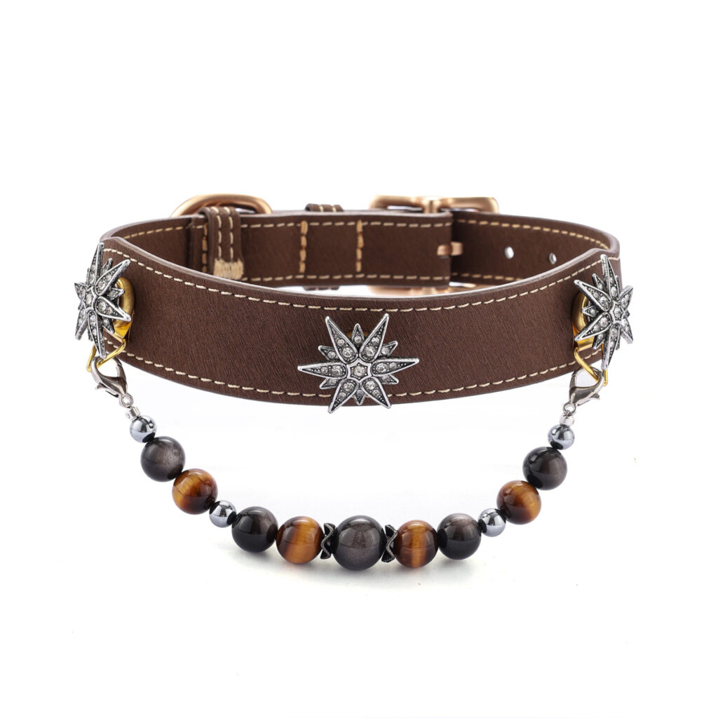 Hexagram Pet Collar
