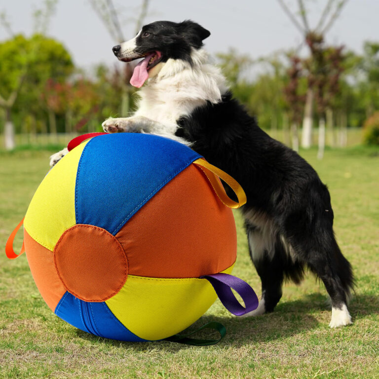 Pet toys